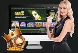 688v bet